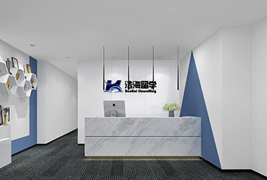 嘉兴留学咨询公司办公室装修设计_案例效果图